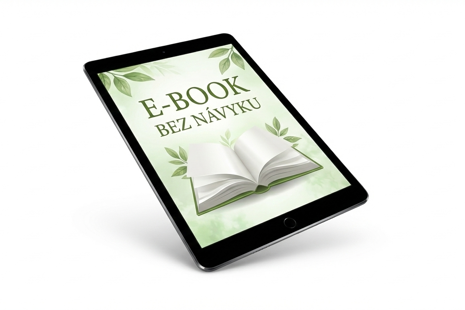 Co očekávat od e-booku BEZ NÁVYKU?